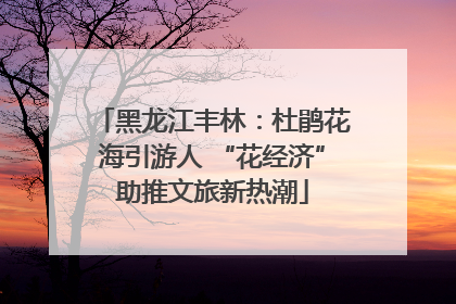黑龙江丰林：杜鹃花海引游人 “花经济”助推文旅新热潮