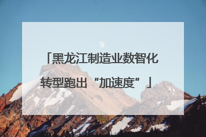 黑龙江制造业数智化转型跑出“加速度”