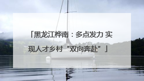 黑龙江桦南：多点发力 实现人才乡村“双向奔赴”