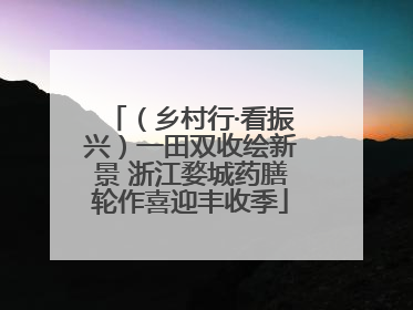 （乡村行·看振兴）一田双收绘新景 浙江婺城药膳轮作喜迎丰收季