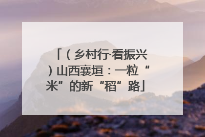 （乡村行·看振兴）山西襄垣：一粒“米”的新“稻”路