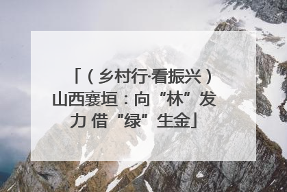 （乡村行·看振兴）山西襄垣：向“林”发力 借“绿”生金