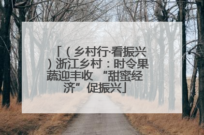 （乡村行·看振兴）浙江乡村：时令果蔬迎丰收 “甜蜜经济”促振兴