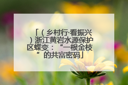 （乡村行·看振兴）浙江黄岩水源保护区蝶变：“一根金枝”的共富密码