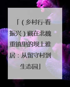 （乡村行·看振兴）藏在北魏重镇里的坝上雅居：从留守村到生态园