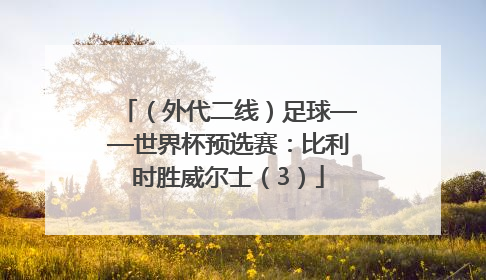 （外代二线）足球——世界杯预选赛：比利时胜威尔士（3）