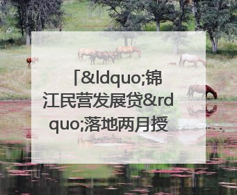 “锦江民营发展贷”落地两月授信1.7亿元，惠及118家民企