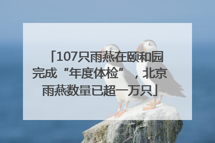 107只雨燕在颐和园完成“年度体检”，北京雨燕数量已超一万只