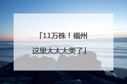 11万株！福州这里太太太美了