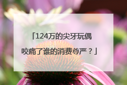 124万的尖牙玩偶 咬痛了谁的消费尊严？