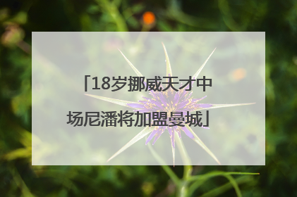 18岁挪威天才中场尼潘将加盟曼城