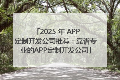 2025 年 APP 定制开发公司推荐：靠谱专业的APP定制开发公司