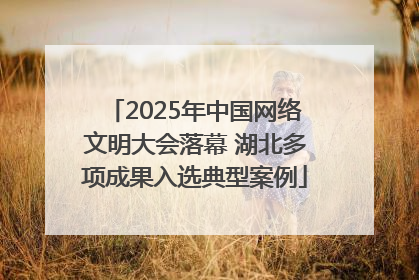 2025年中国网络文明大会落幕 湖北多项成果入选典型案例