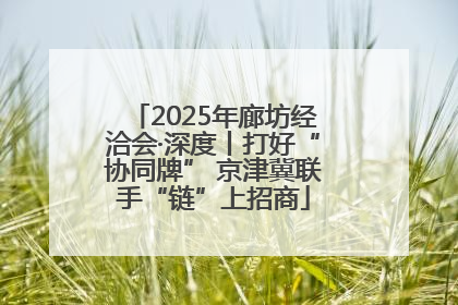 2025年廊坊经洽会·深度丨打好“协同牌” 京津冀联手“链”上招商