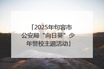 2025年句容市公安局“向日葵”少年警校主题活动