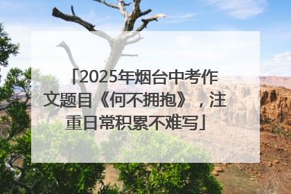 2025年烟台中考作文题目《何不拥抱》，注重日常积累不难写