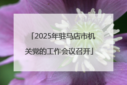 2025年驻马店市机关党的工作会议召开