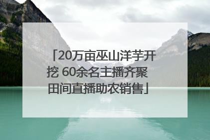 20万亩巫山洋芋开挖 60余名主播齐聚田间直播助农销售