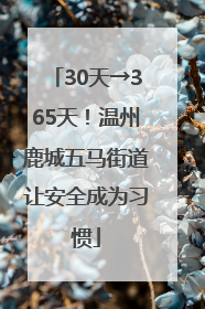 30天→365天！温州鹿城五马街道让安全成为习惯
