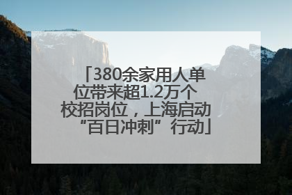 380余家用人单位带来超1.2万个校招岗位，上海启动“百日冲刺”行动