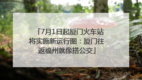 7月1日起厦门火车站将实施新运行图：厦门往返福州就像搭公交