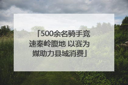 500余名骑手竞速秦岭腹地 以赛为媒助力县域消费
