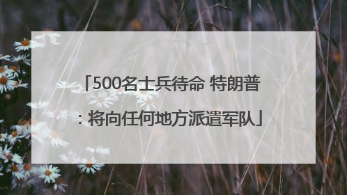 500名士兵待命 特朗普：将向任何地方派遣军队