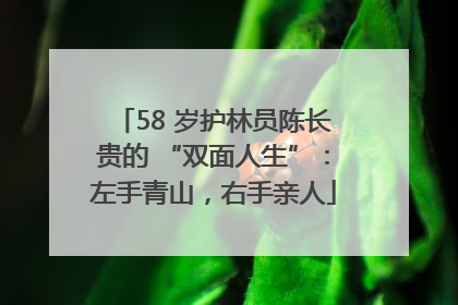 58 岁护林员陈长贵的 “双面人生”：左手青山，右手亲人