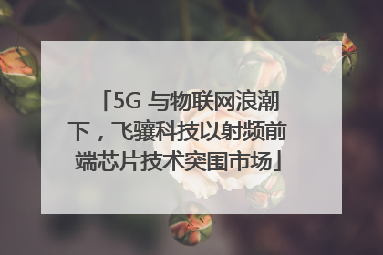 5G 与物联网浪潮下，飞骧科技以射频前端芯片技术突围市场