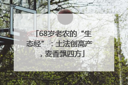 68岁老农的“生态经”：土法创高产，麦香飘四方