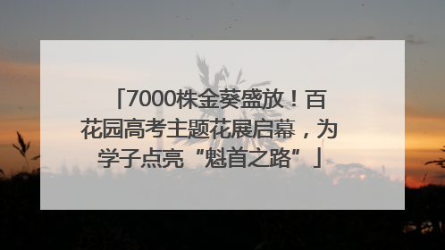 7000株金葵盛放！百花园高考主题花展启幕，为学子点亮“魁首之路”