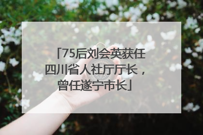 75后刘会英获任四川省人社厅厅长，曾任遂宁市长