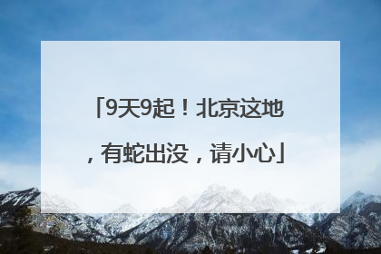 9天9起！北京这地，有蛇出没，请小心
