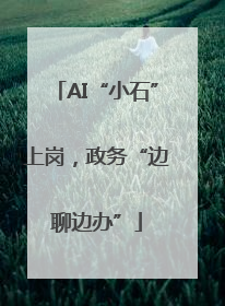 AI“小石”上岗，政务“边聊边办”