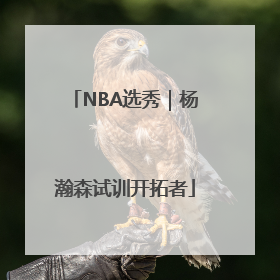 NBA选秀｜杨瀚森试训开拓者