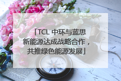 TCL 中环与蓝思新能源达成战略合作，共推绿色能源发展